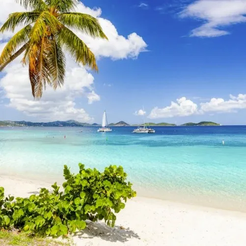 Virgin Island Vacation 