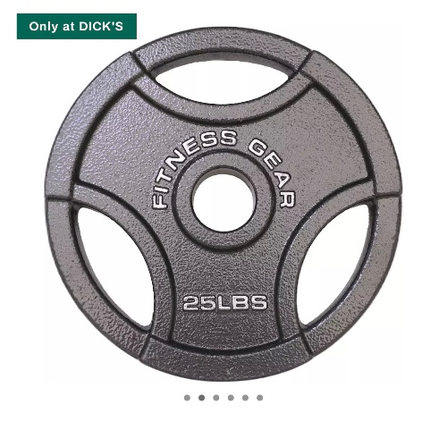 25 lbs Plates