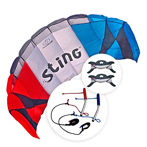 Flexifoil 2.6m Power Kite Sting Sport Foil | Older Kids and Adult Kiting | Beach Summer Trick Kites | Outside Stunt Toys | Outdoor Games and Family Activities | Professional Four String Lines & Handles | Easy to Fly | 2.4m²