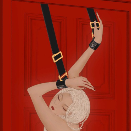 Over the Door Hand Restraints