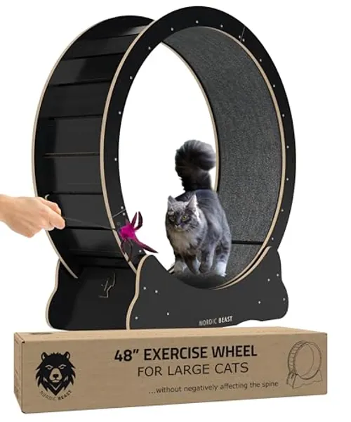 48'' Large Cat Wheel – Size Which Doesn't Negatively Affect Cat's Spine – Nordic Beast, Cat Exercise Wheel Indoor, Cat Wheels for Indoor Cats, Cat Treadmill, Cat Running Wheel, Cat Wheel Exerciser