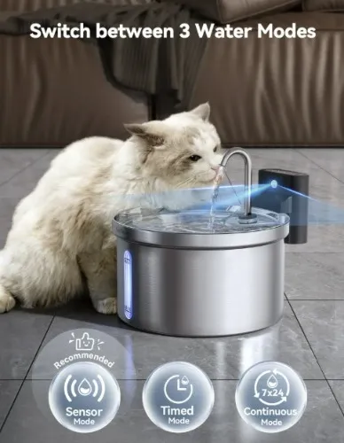 Cat Water Fountain