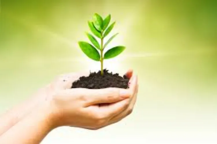 support my hobby: gardening