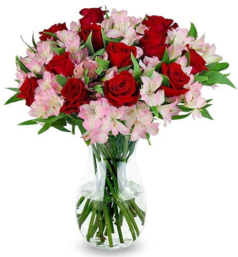 Benchmark Bouquets - Lovely Roses & Alstroemeria (Glass Vase Included) – Fresh Flowers for Delivery - Gift for Easter, Mother’s Day, Birthday, Anniversary, Sympathy, Get Well, Congratulations - Red/Pink