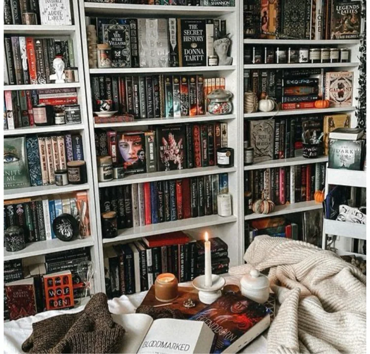 Monthly book subscription 
