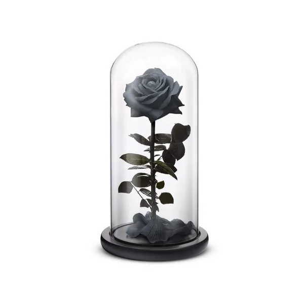 Everlasting Rose (Black) - Small