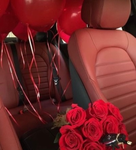 Monthly Car Payment (444)