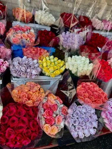 Fresh blooms