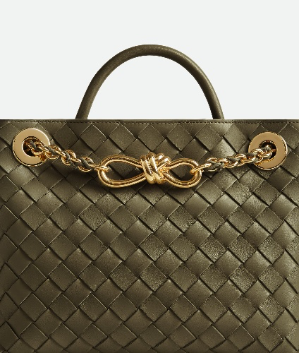 Bottega Venetta Small Andiamo With Chain