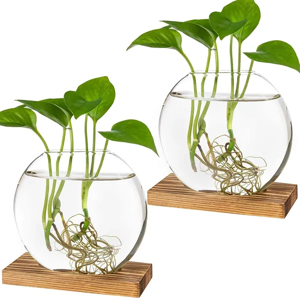 Kingbuy Desktop Round Glass Planter Terrarium Flower Vase with Wooden Stand for Propagation Hydroponic Plants Home Office Decor, 2 Pack, Brown