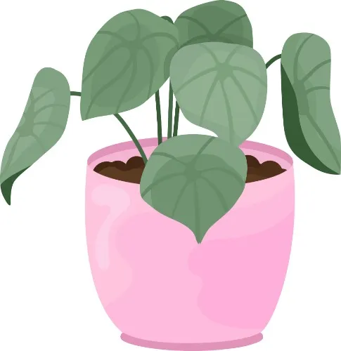 Plants fund! 🌿