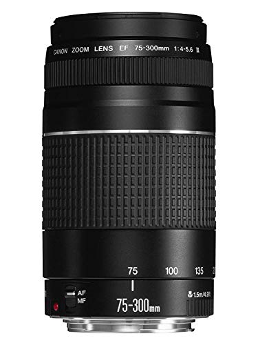 Canon EF 75-300mm f/4-5.6 III Telephoto Zoom Lens for Canon SLR Cameras - Base
