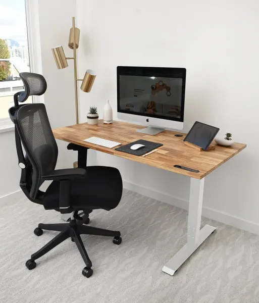 TerraDesk | Eco-Friendly Height-Adjustable Electric Standing Desk by EFFYDESK - 55" x 28" / White