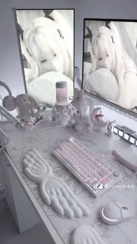 PC set up!!! (Happy birthday to me)