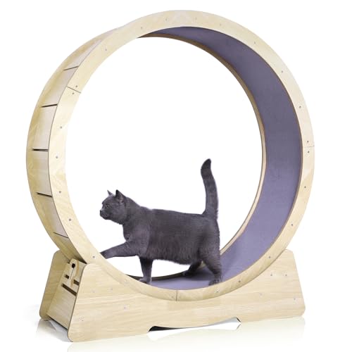 QOILITY Cat Exercise Wheel - 42.5in Low-Noise Cat Wheels for Indoor Cats Fitness & Health - Suitable for Most Indoor Cats - XL - Wooden