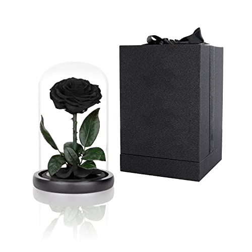 Preserved Roses Black Roses in Glass Dome, Medium, Real Rose That Last 2 to 3 Years, Black Roses Gifts for Her - Black - Medium
