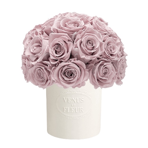 Fleura Porcelain Vase | Eternity® Roses / Dusty Rose