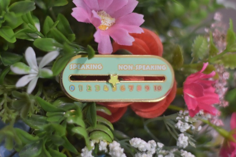 Sliding Non-Speaking Pin - In Stock