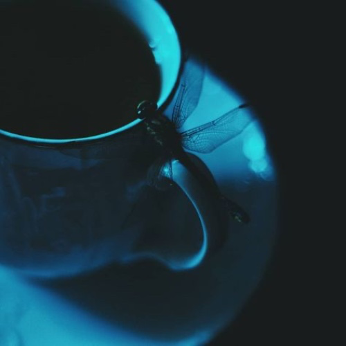 Coffee Sends