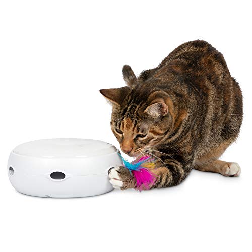 PetFusion Ambush Interactive Cat Toys for Indoor/Outdoor Activity - New & Improved Cat Feather Toys Replacement Feathers Available 12 Month Warranty - Full unit - Pearl