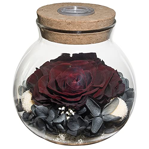 Preserved Real Roses with Colorful Mood Light Wishing Bottle,Eternal Rose，Never Withered Flowers,for Bedroom Party Table Decor, Anniversary,Valentine's,Mother's Day,a Gifts for Women (Burgundy) - Burgundy