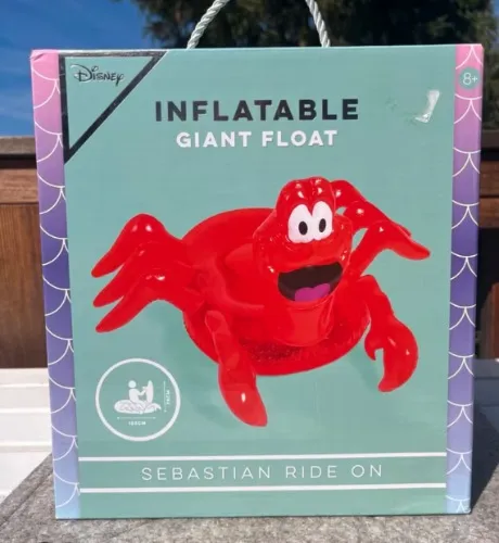 Disney Inflatable
