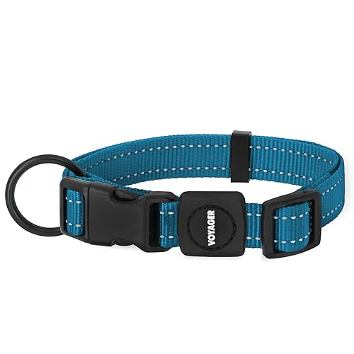 Best Pet Supplies Reflective Dog Collar with Adjustable Length, Heavy-Duty Buckle, and Strong Leash D-Ring, Training, Walking, Jogging Accessory for Small, Medium, and Large Breeds - Turquoise, L - Collar (Turquoise) - L (16" - 25")