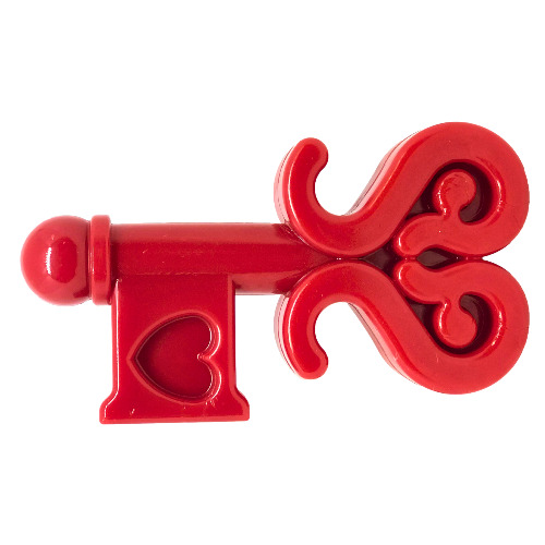 Durable Key To My Heart Nylon Chew Dog Toy
