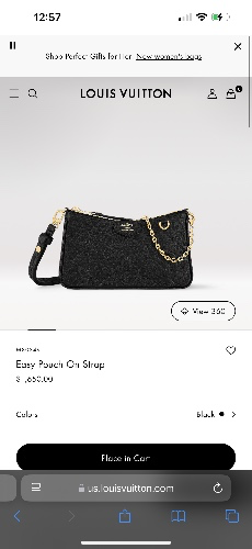 Louis Vuitton Handbag