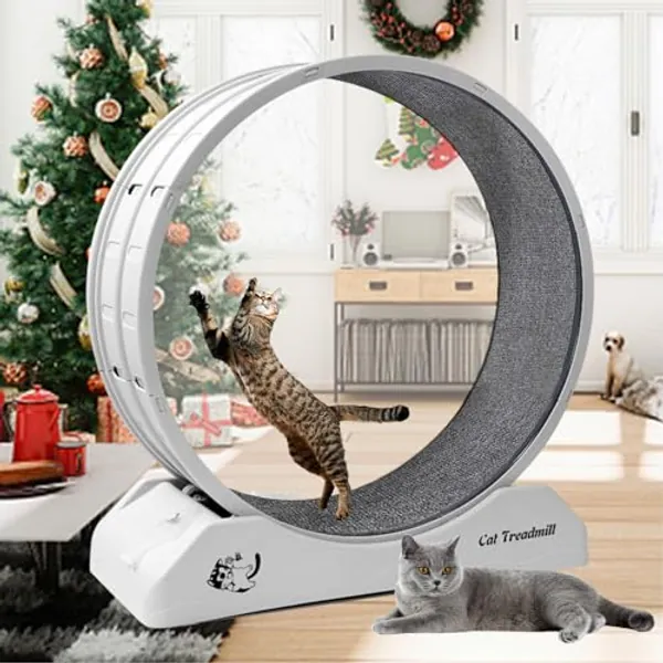 homegroove Cat Exercise Wheel, 31.5 Inch Cat Wheels for Indoor Cats, Cat Treadmill Wheel Exerciser with Carpeted Runway, Cat Running Wheel for Cats Daily Exercise and Weight Loss, Plastic Cat Wheel - Medium - Grey-grey carpet