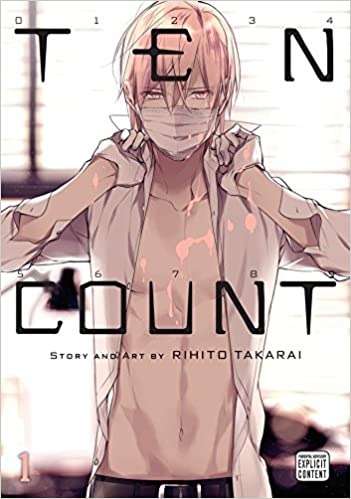 Ten Count, Vol. 1 (1) - Paperback, Illustrated