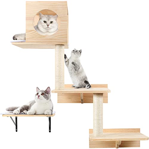 cat wall climbing set