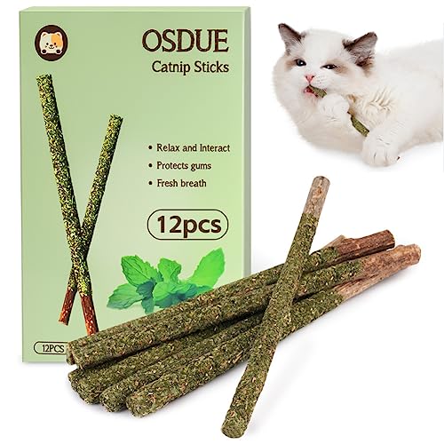 catnip sticks for a good time 