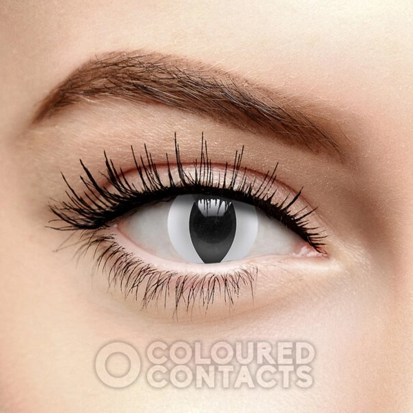 White Viper Colored Contact Lenses (Daily)