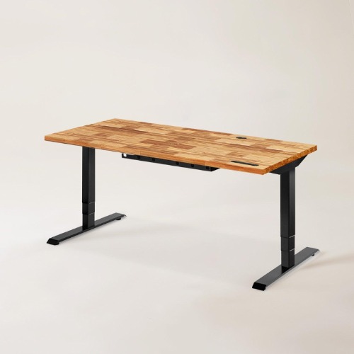 Terra Standing Desk - Terra - Black / M (55" x 29")