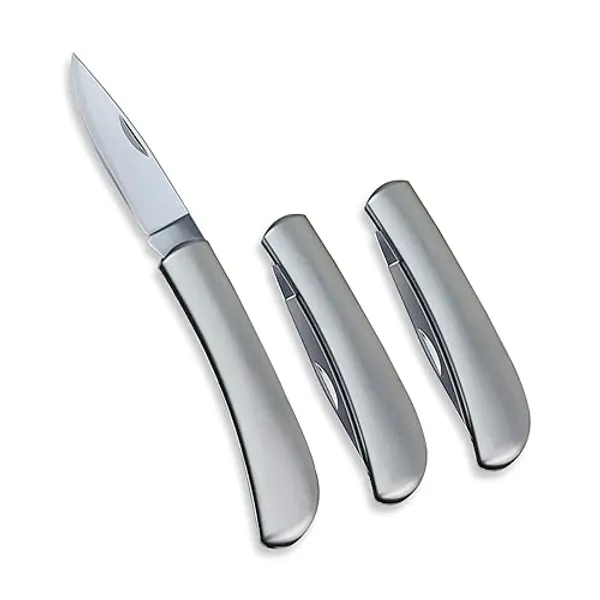 Fruit Knife, All Steel Foldable Fruit Knife Set, Exquisite and Beautiful, Small and Easy to Carry, Foldable Fruit Knife Suitable for Most Types of Vegetables and Fruits (3 Pieces)