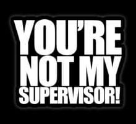 Archer You're Not My Supervisor Decal Vinyl Sticker|Cars Trucks Vans Walls Laptop| White |5.5 x 3.5 in|LLI182