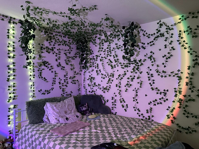 ⋆｡‧˚ʚ Rent 🐶🏡 ɞ˚‧｡⋆