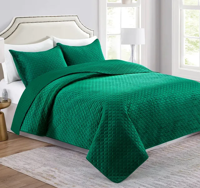 L'IRISDOM Bedspread Green Queen/Full Size Velvet Quilt Set Soft Coverlet 1 Quilt and 2 Shams