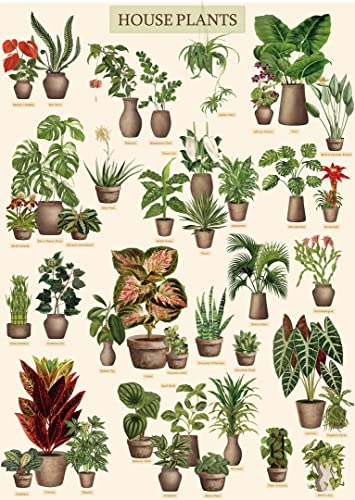 Vintage Houseplant Puzzle 1000 Pieces for Adult, Botany Succulent House Plant Puzzle, 39 Common Indoor Plants Jigsaw Puzzles（HD）