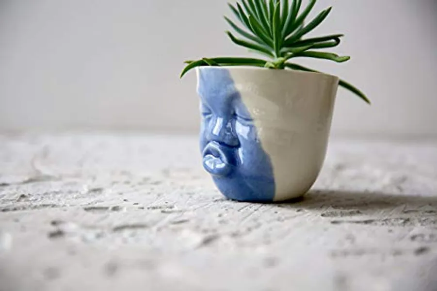 Blue and White Porcelain Small Succulent and Cacti Pot - Cute Ceramic Kissing Face Planter for Indoor Plants