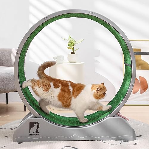 RYpetmia Cat Exercise Wheel, 31.5 Inch Cat Treadmill for Indoor Cats, Cat Running Wheel with Carpeted Runway, Easy to Install & Fitness & Health, Suitable for Most Cats, Plastic Cat Wheel - 31.5” Diameter - Grey
