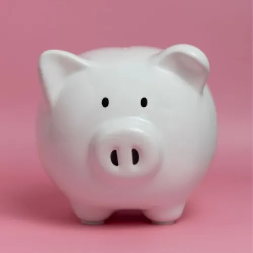 Emergency/Savings Fund