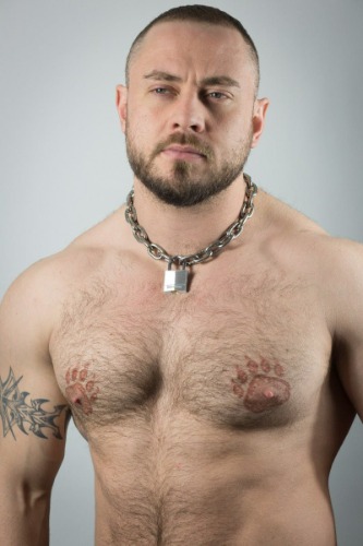 GEAR: Pitbull chain 5mm with 30mm Master Lock 