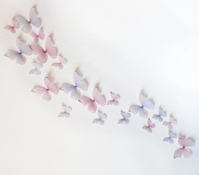3D Wall Butterflies- Light Pink and Purple Princess Mix