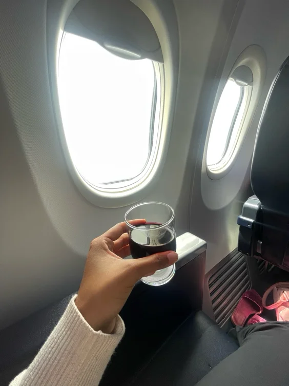 Flight 