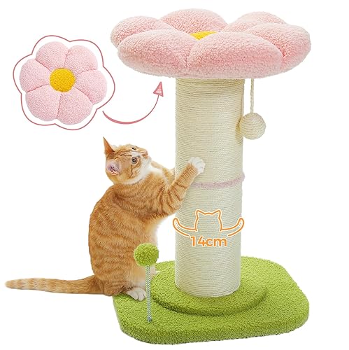 PAWZ Road Flower Katzenkratzbaum, Kleiner Katzenbaum, hoher Katzenkratzbaum für Indoor-Katzen mit super dickem Kratzbaum [Dia=14cm], Abnehmbares Blumen-Katzenbett, Katzenkratzbaum mit Federball, Rosa - Rosa
