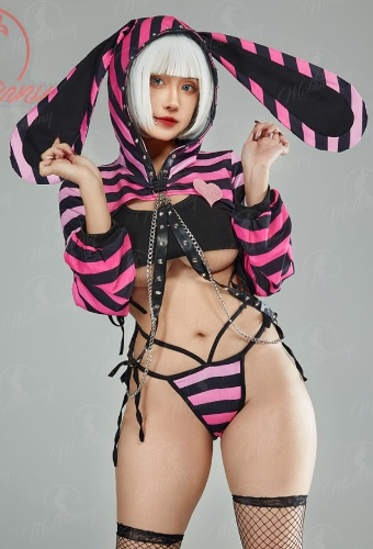Gothic Sexy Lingerie Set Black Pink Striped Bunny Style Top and Vest Panty Set with Fishnet Stockings and Chains