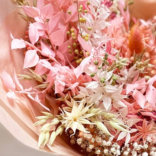 Flowers 🌷 