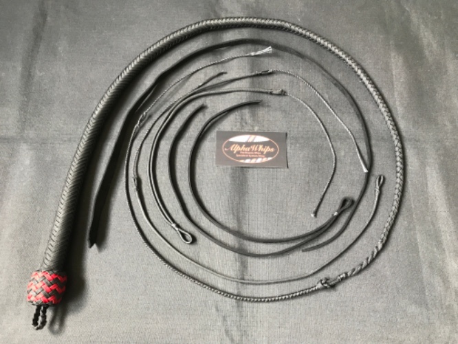 16 Plait, Adaptive Snake Whips | 3ft